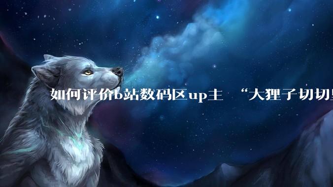 如何评价b站数码区up主 “大狸子切切里”?