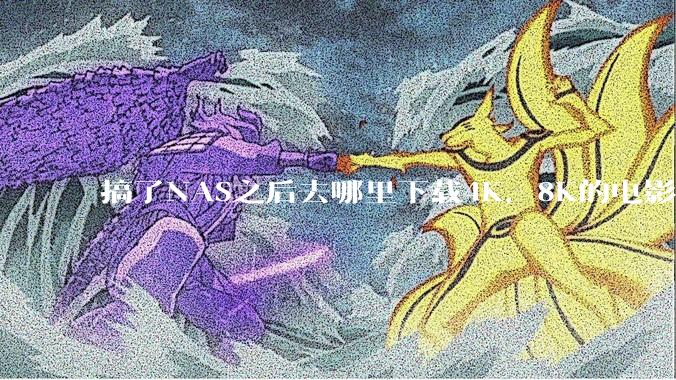 搞了NAS之后去哪里下载4K，8K的电影？