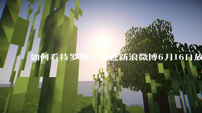 如何看待罗帅宇爸爸新浪微博6月16日放出的录音材料？