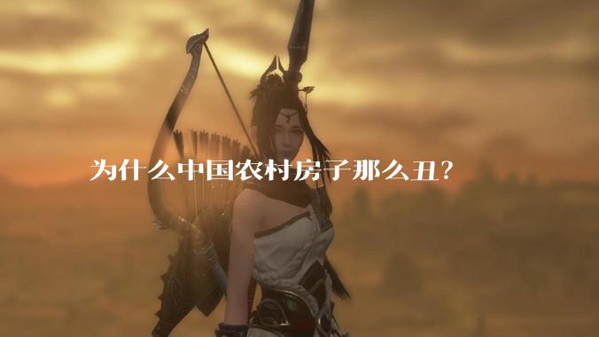 为什么中国农村房子那么丑？