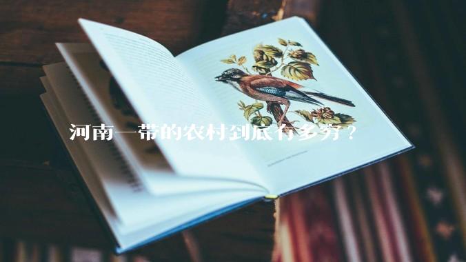 河南一带的农村到底有多穷?
