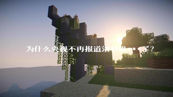 为什么央视不再报道洛杉矶***了？