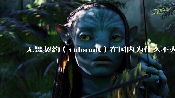 无畏契约（valorant）在国内为什么不火?