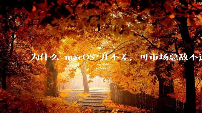 为什么 macOS 并不差，可市场总敌不过 Windows？
