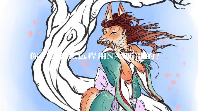 你们是怎么远程用NAS听歌的？