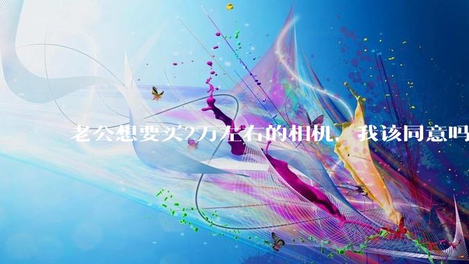 老公想要买2万左右的相机，我该同意吗？