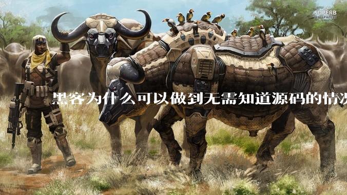 黑客为什么可以做到无需知道源码的情况下找出系统漏洞？