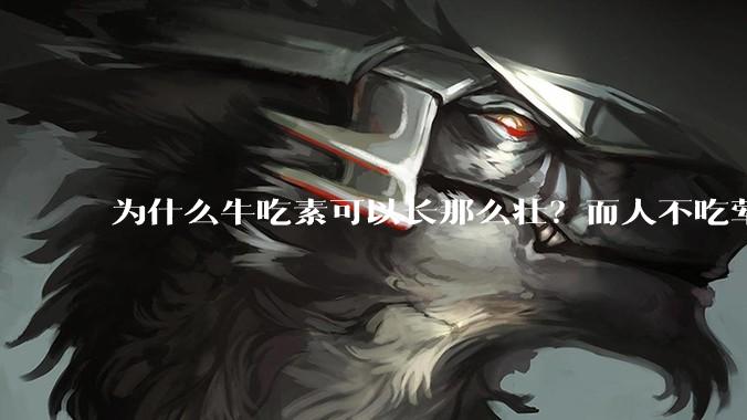 为什么牛吃素可以长那么壮？而人不吃荤就不行？