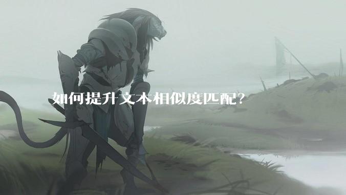 如何提升文本相似度匹配？