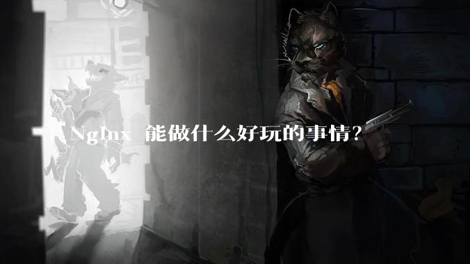 Nginx 能做什么好玩的事情？