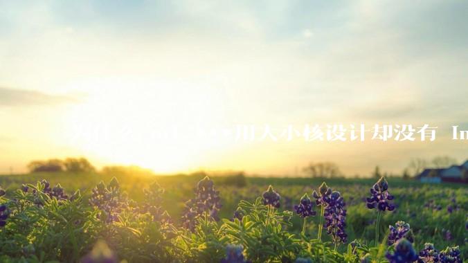 为什么 m1 ***用大小核设计却没有 intel 的问题？