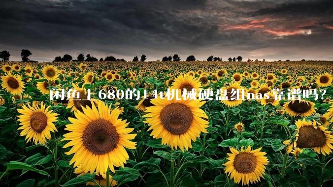 闲鱼上680的14t机械硬盘组nas靠谱吗？
