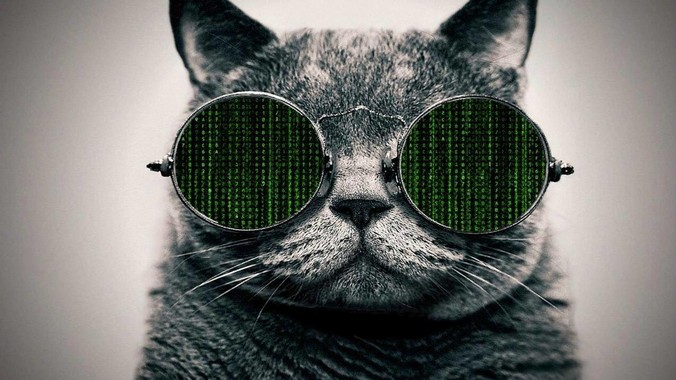 如果不能使用linux，只能选鸿蒙与windows，你会选哪个？
